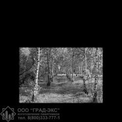 067_333344