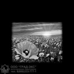 08376