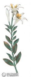 bron-zv14
