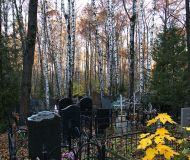 Dolg1