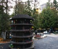 Golov1