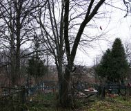 Salkovo3