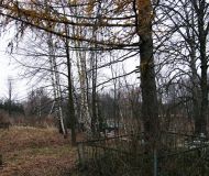 Salkovo4