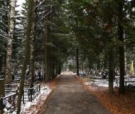 Zelen2